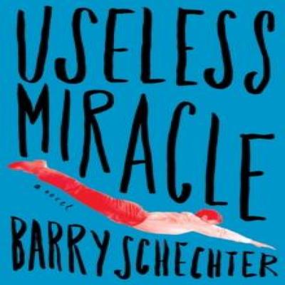 Useless Miracle by Barry Schechter Paperback Book 9781612197913