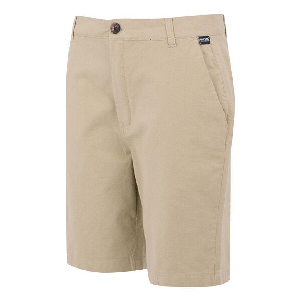 Regatta Mens Sabastal Shorts