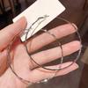 and American Exaggerated Minimalist Style Plain Large Hoop Earrings 2026 New Trendy Influencer Style High-End Silver Needle Earrings for Women