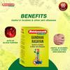 Baidyanath Gandhak Rasayan Ayurvedic Tablets 40 Nos Pack of 2 Herbal Skin Care & Wellness
