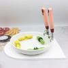 Stainless Steel Anti-Scald Plate Lifter & Bowl Holder Tongs