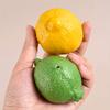 WTEMPO Lemon Shaped Scented Candle Silicone Molds, for Making Scented Candles Handmade Home Decorative Crafts Reusable Non-Stick Silicone Mould Set