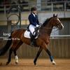 1 Stück Western-Cowboy-Peitsche für Reiter mit ergonomischem Griff und langem Griffdesign, geeignet für Reitsportbegeisterte.