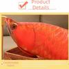 Cute Stuffed Fish Doll Lifelike Fish Plush Pillow Arowana Plush Toys  Collectible