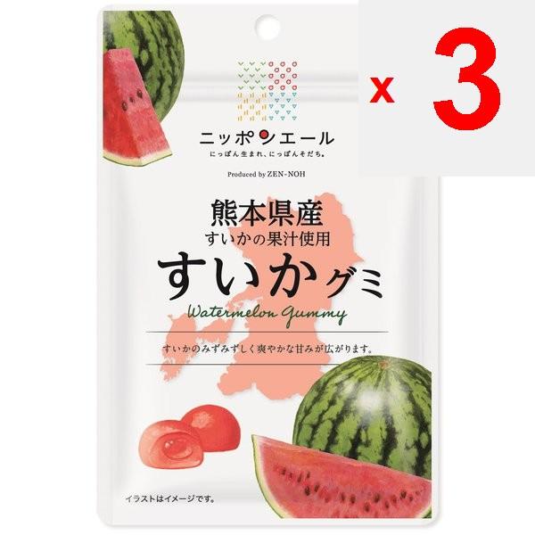 JA Nippon Ale Kumamoto Watermelon Gummi 40gNippon Ale Brand with the Catchphrase Nippon-born, Nippo Nippon Ale Brand with the Catchphrase Nippon-born,