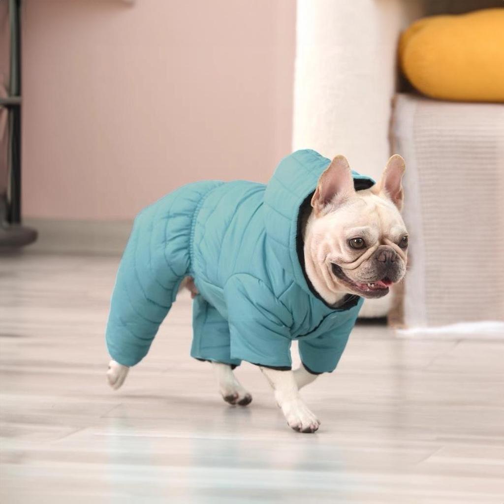 French Bulldog Cotton Jacket: Autumn/Winter Warmth, Four-Legged Style for Pugs and Bulldogs.