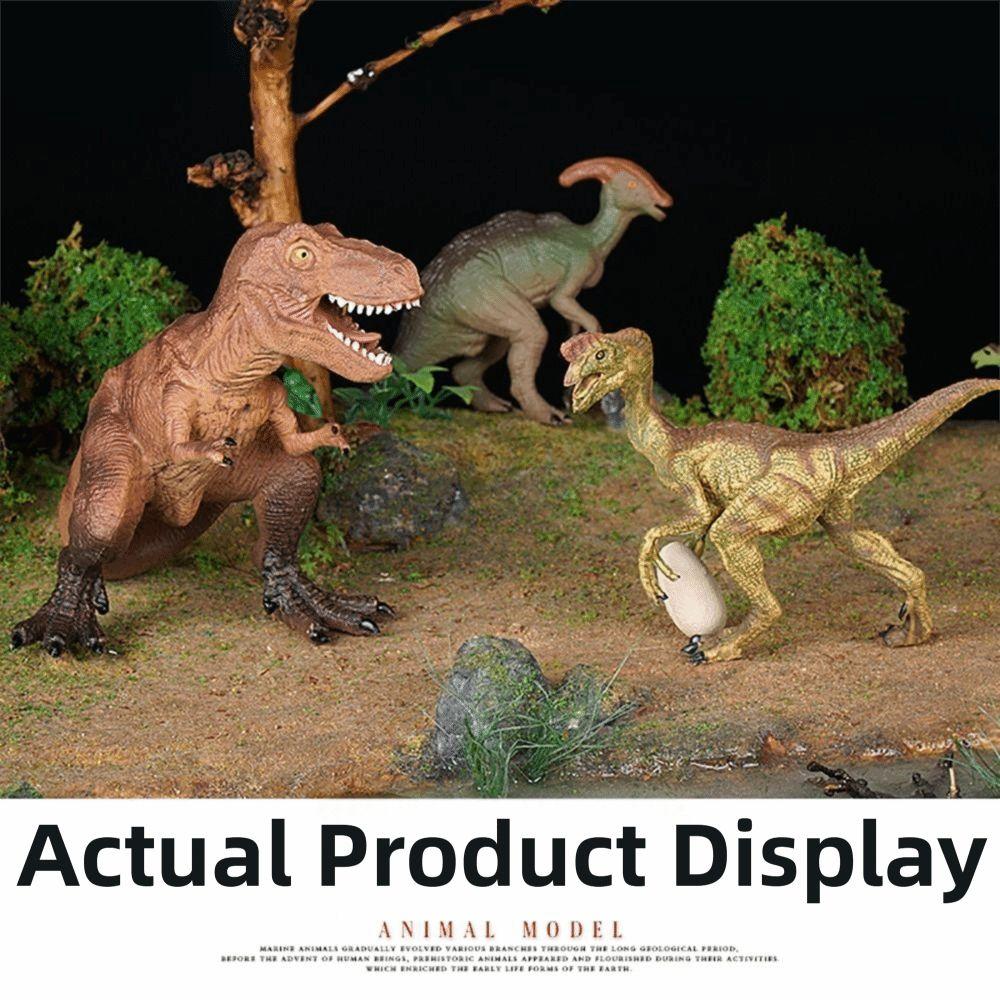 Multiple Sizes Jurassic Dinosaur Realistic Tyrannosaurus Dinosaur Model  Scene Decoration