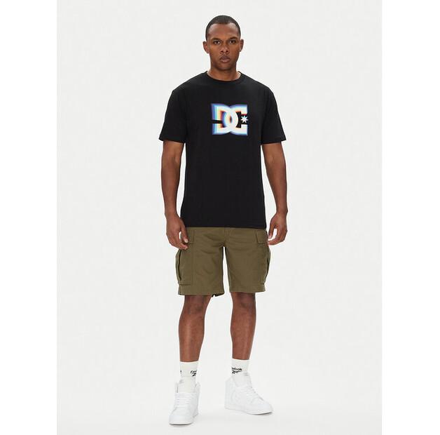 Шорты DC Shoes Tundra