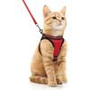 Cat Harness and Leash Set for Walking Escape Proof, Adjustable Soft Kittens Vest with Reflective Strip for Cats, Comfortable Out
