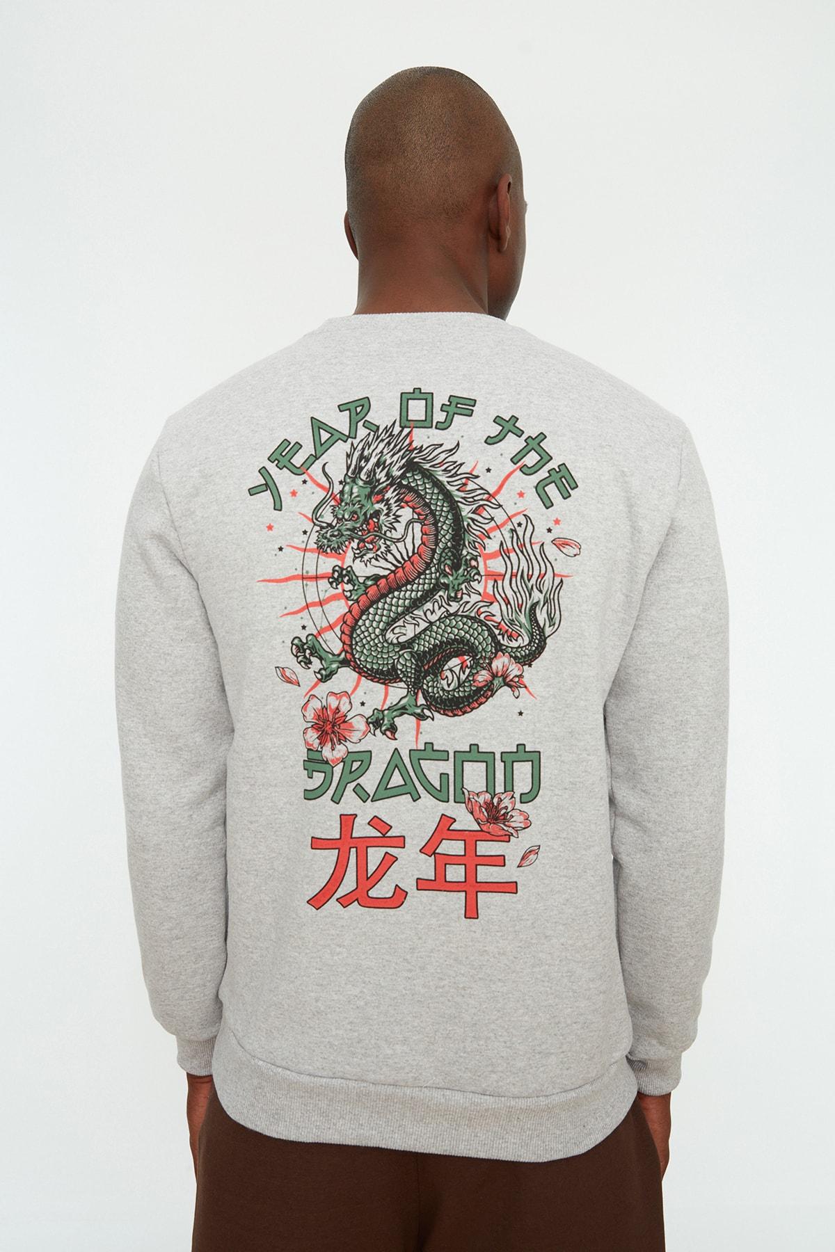 

Серая мужская толстовка с круглым вырезом и длинными рукавами стандартного кроя TMNSS22SW0136