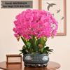 Luxury Phalaenopsis Artificial Flower Arrangement for Living Room Dining Table Decor