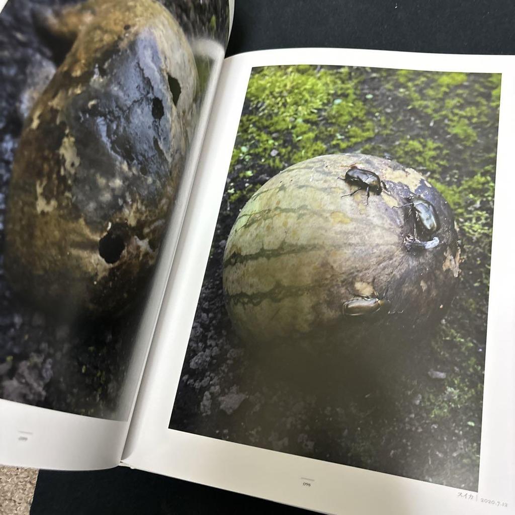 [USED] The Shape of Life: A Photo Collection by Tsuneo Enari