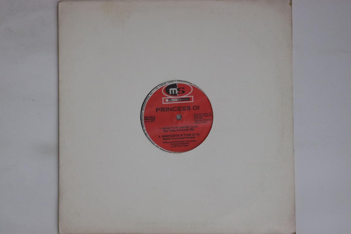 

12inch Record PRINCESS DI Whats My Name MS1253 Music Station 1994 US Dance Electronica Used