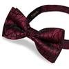 Red Green Bow Ties for Men Silk Woven Cravat Cufflinks Hanky Set for Suit or Tuxedo Man Wedding Butterfly Tie