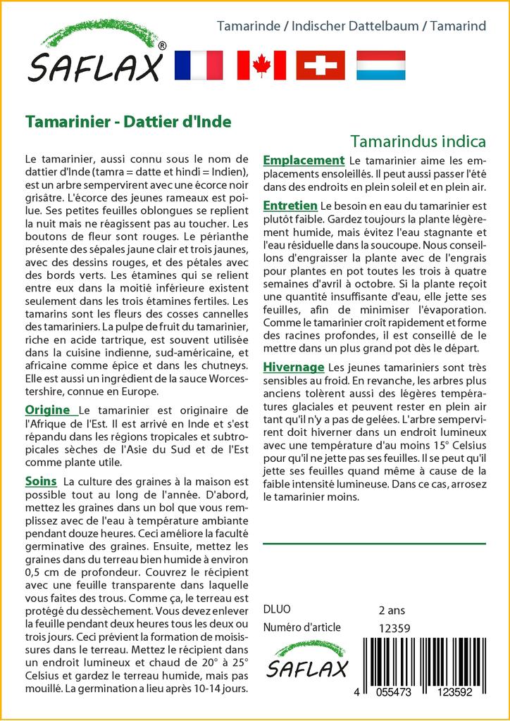 SAFLAX - Tamarind - 4 seeds - With potting substrate for better cultivation - Tamarindus indica