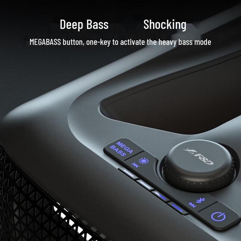 F&D PA300 Portable Outdoor Karaoke Bluetooth Speaker CN plug (adapter included)