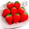 Food Sample Magnet Strawberry Looks Like You Want to Eat It 333M -
