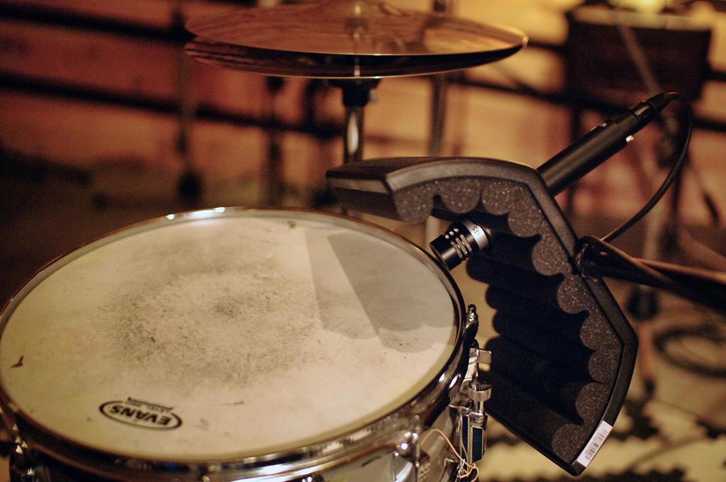 sE Electronics guitaRF Acoustic Treatment Device for Musical Instruments []