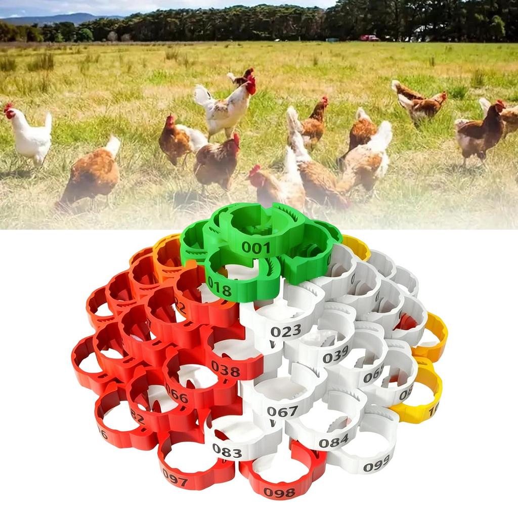 150 st kycklingbenringar Justerbara benarmband Flerfärgade Numrerade Fågelbenringar För kycklingar Ankor Gäss Duva Utomhus