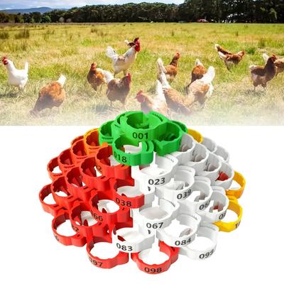 150pcs Chick Leg Bands Adjustable Leg Bracelet Multicolor Numbered Poultry Foot Rings For Chicks Ducks Geese Pigeon Outdoor