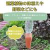 Automatic Watering Latest Slim for Potted Convenient for Business Watering Accessories Included System, Type, Plants, Plants, Houseplants, Ceramic,