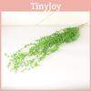 Wall Rowleyanus Senecio Hanging Basket Decoration Plastic Flower Vine