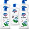 Safeguard Healthy Clean Mint Scent Shower Gel