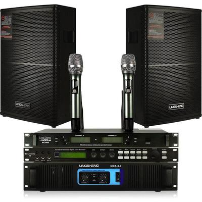LINGSHENG Professional Conference Audio System CN Plug (adapter Included) (CN Version)