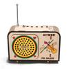 Science And Technology Small Production Children DIY Radio Model Hand-assembled Toys Scientific Experimental Materials Science And Education Frontier