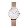 RORIOS Ultra Thin Women's Watch, Simple Design, Stylish Mesh Belt Women's Watch, Stylish Starry Sky Sparkly Dial, Business Quartz Watch Watch for