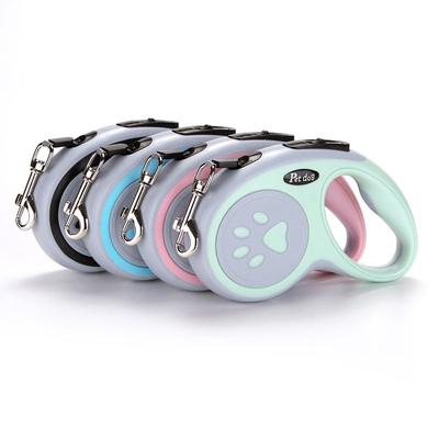 Cani – Collari e guinzagli per cani