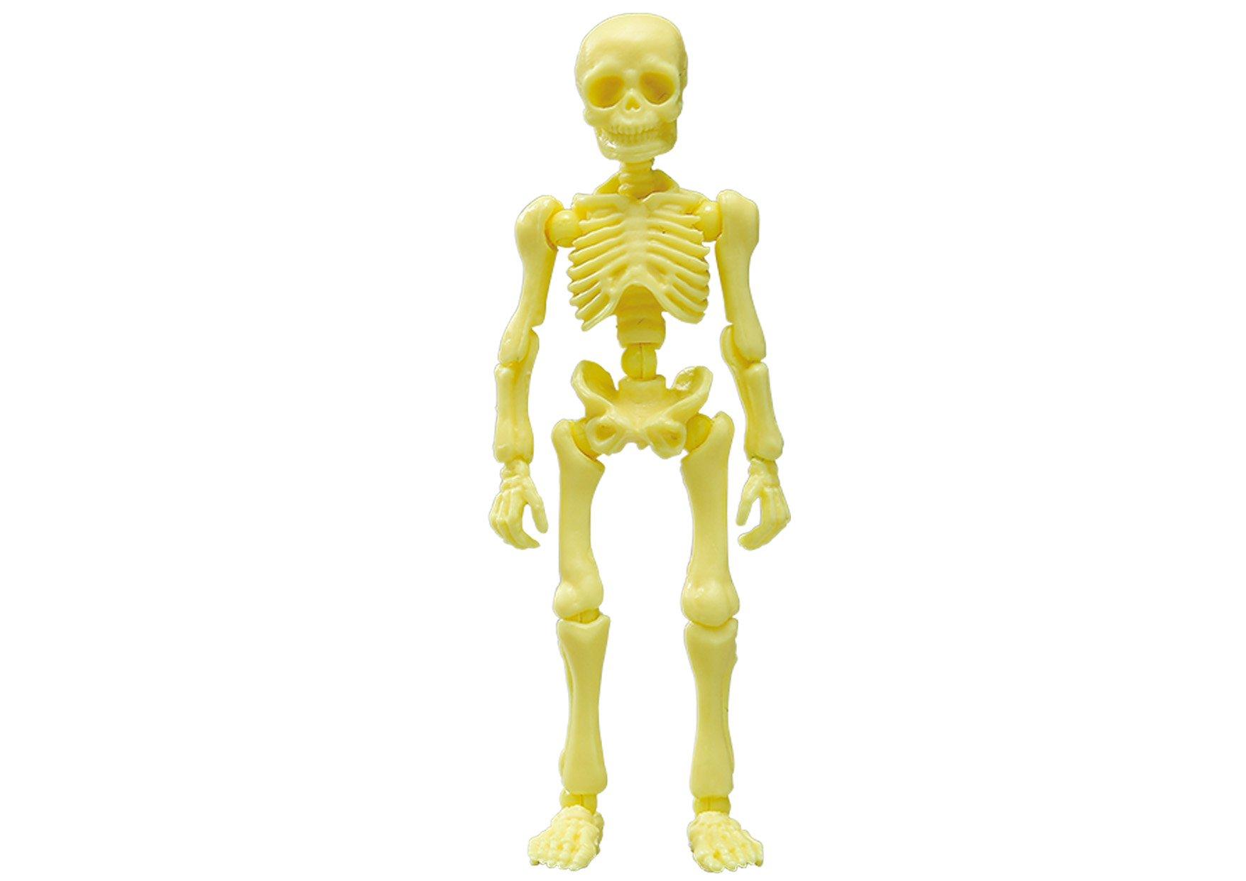 

Pose Skeleton Human 01 Human Color Series Banana Shake