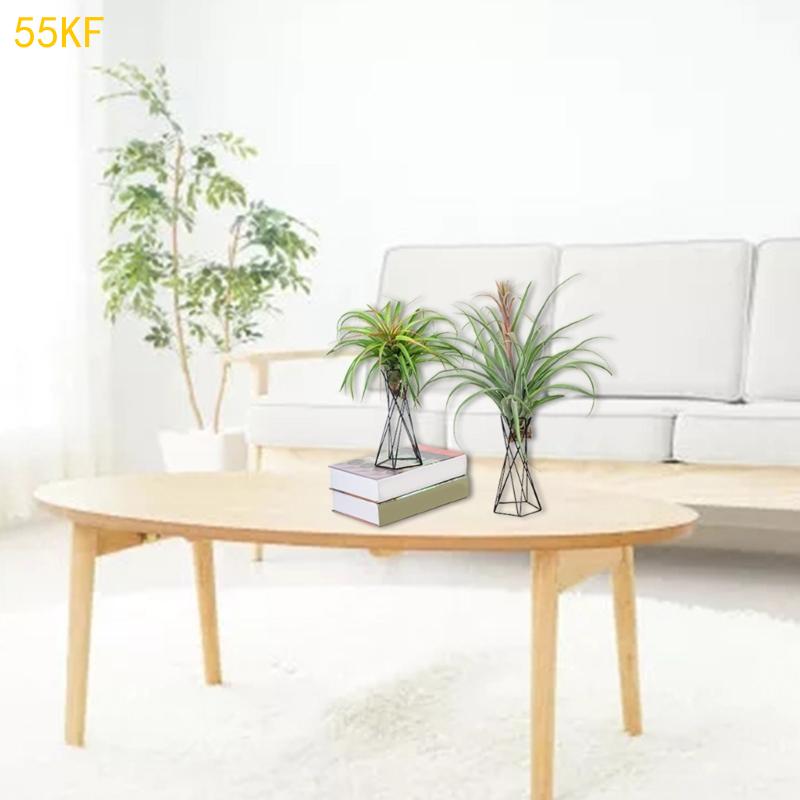 55KF Severský držák na vzdušné rostliny Kovový stojan na květináče Geometrický železný držák na Tillandsie