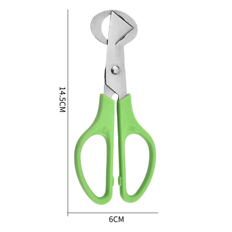 1Pc Stainless Steel Quail Egg Shell Scissors - Rust-Resistant Durable Kitchen Tool,  for Quail Egg Cutting & Cigar Trimming