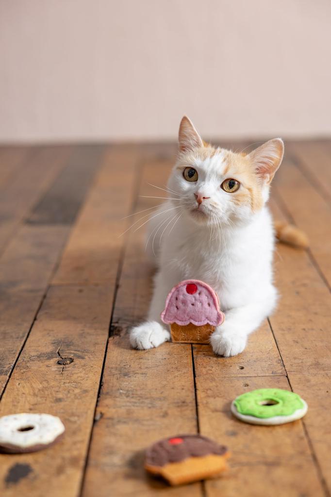 FAD+ Felt ToyPink Cupcake & Donut Other Pink Cat