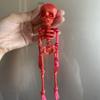 Creative Skull Refrigerator Magnet 3D Printed Joints Movable Halloween Toy Horror Luminous Skull Ornaments for Fridge Decor