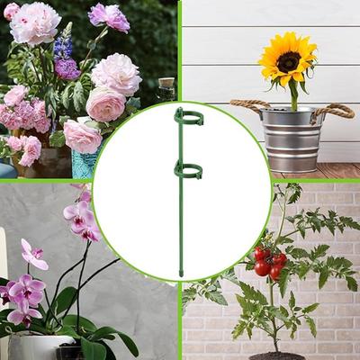 Phalaenopsis Clamps, Plant Support Clamps, Orchid Fixing Small Clamps, Flower Stand Support Rods, Climbing And Gardening Shaping