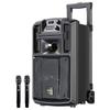 Malata Maestro Series Portable Outdoor Karaoke System (CN Version)