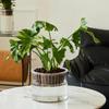 High Transparent Mini Fish Tank Imitation Glass Lazy Flower Pot Hydroponic Vase  Desktop Deco