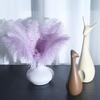 25-30cm Large Ostrich Feather for Wedding Bouquet or Photo Decoration