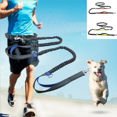Guinzaglio Riflettente Corda di Trazione Cintura da Corsa per Cani Pet Elastica Mani Libere Jogging Guinzaglio da Tirare Cane Anello a D Metallico Guinzagli Pettorina