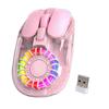 Wireless Bluetooth Connection DPI RGB Transparent Wireless Gaming Mouse with USB 5 Ergonomic Magnetic Compatible with & 2.4G Mode, Type-C
