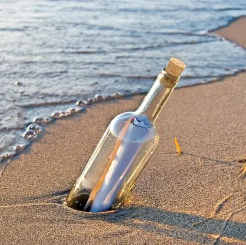 50 100 Pcs Wine Corks Stopper Reusable Functional Portable Sealing Stopper for Bottle Bar Tools Kitchen AccessoriesWine Bottle