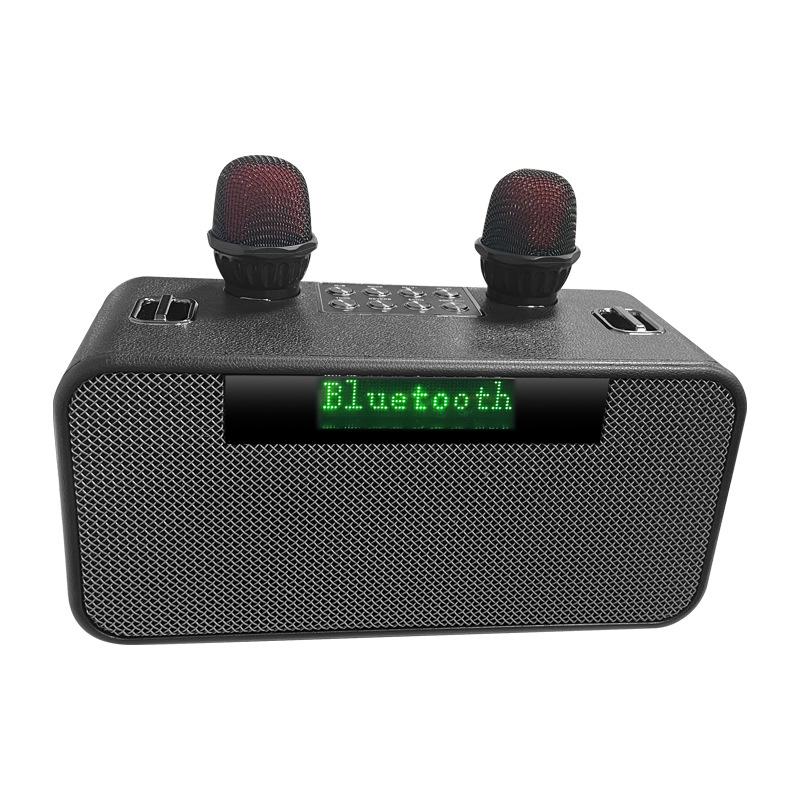 Wireless KTV Speaker with Bluetooth Lyrics Display & Reverb Control