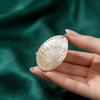 Shell Pendant Necklace With Natural Shell Material For Jewelry Making