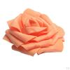 100 Foam Roses Bouquet for Bridal Shower Decor