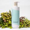NOUGAT - Volume Shampoo