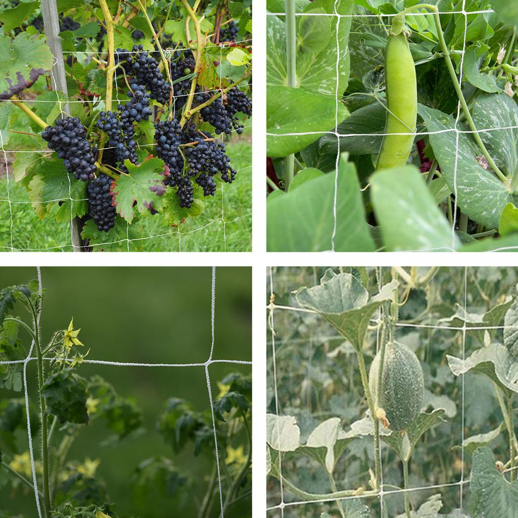 Plant Climbing Net Mesh Heavy-Duty Plant Support Stand Tomato Fruits Vegetables Trellis Netting Planting Gardening Supplies