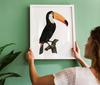 Toucan Bird Vintage Poster