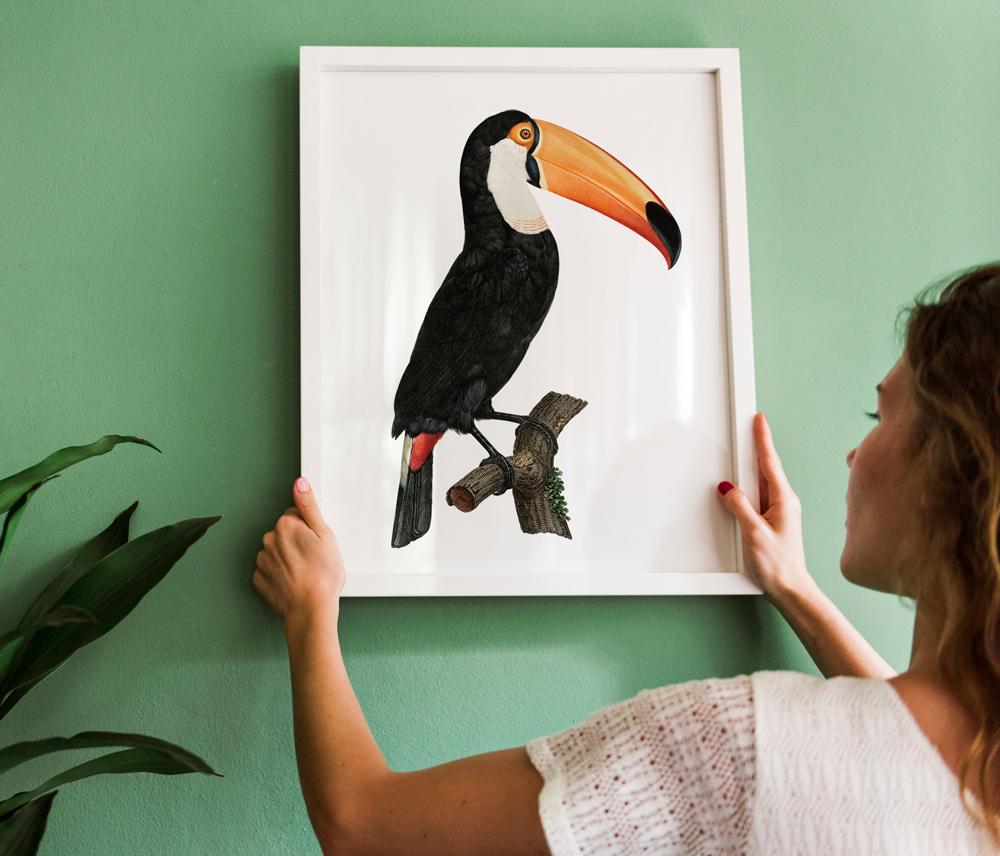 Toucan Bird Vintage Poster